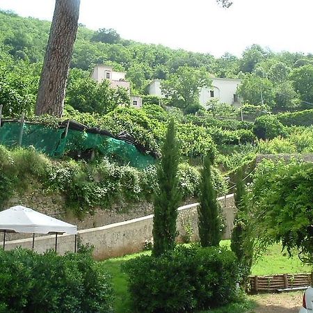 Pietra Rosa Bed & Breakfast Tramonti Luaran gambar