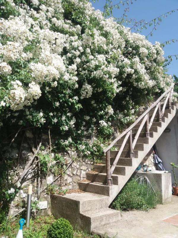 Pietra Rosa Bed & Breakfast Tramonti Luaran gambar