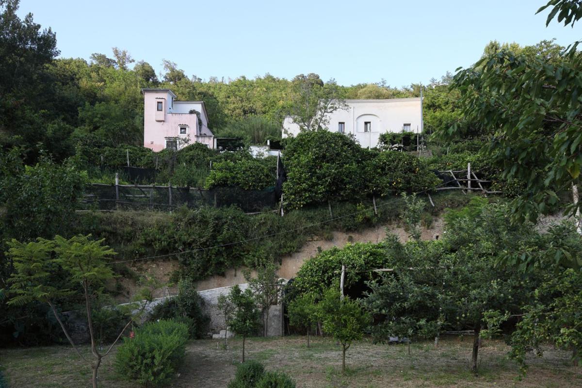 Pietra Rosa Bed & Breakfast Tramonti Luaran gambar