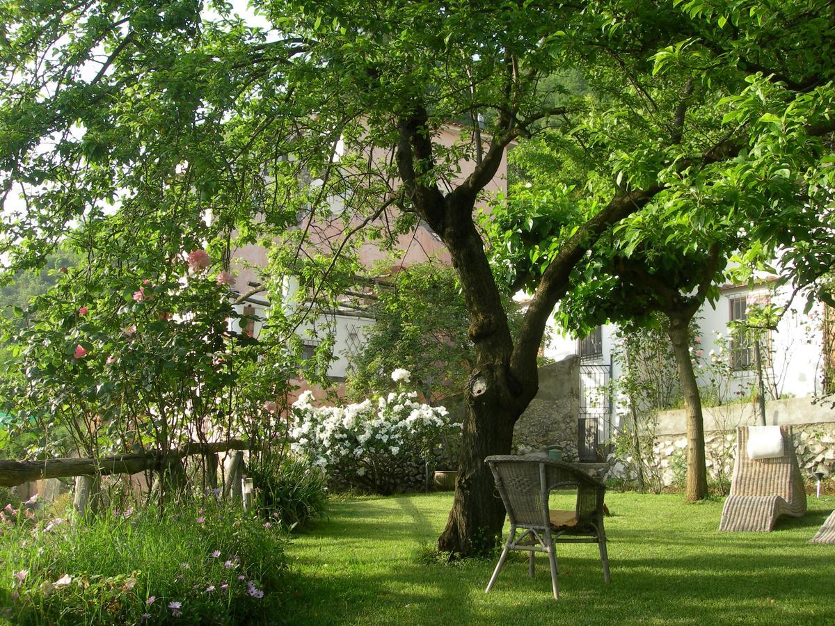 Pietra Rosa Bed & Breakfast Tramonti Luaran gambar