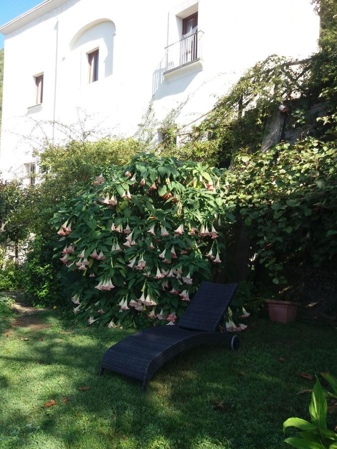 Pietra Rosa Bed & Breakfast Tramonti Luaran gambar