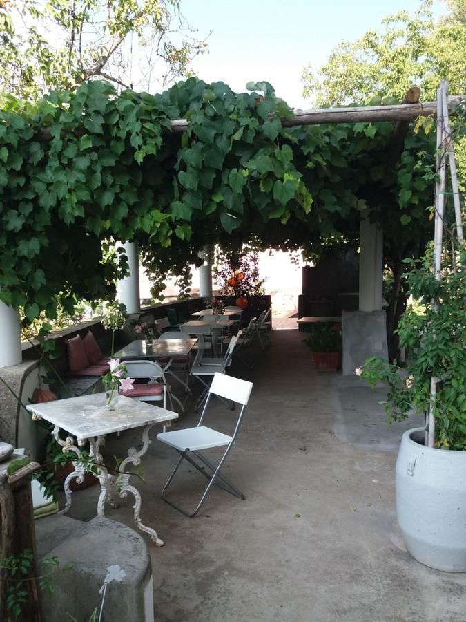 Pietra Rosa Bed & Breakfast Tramonti Luaran gambar